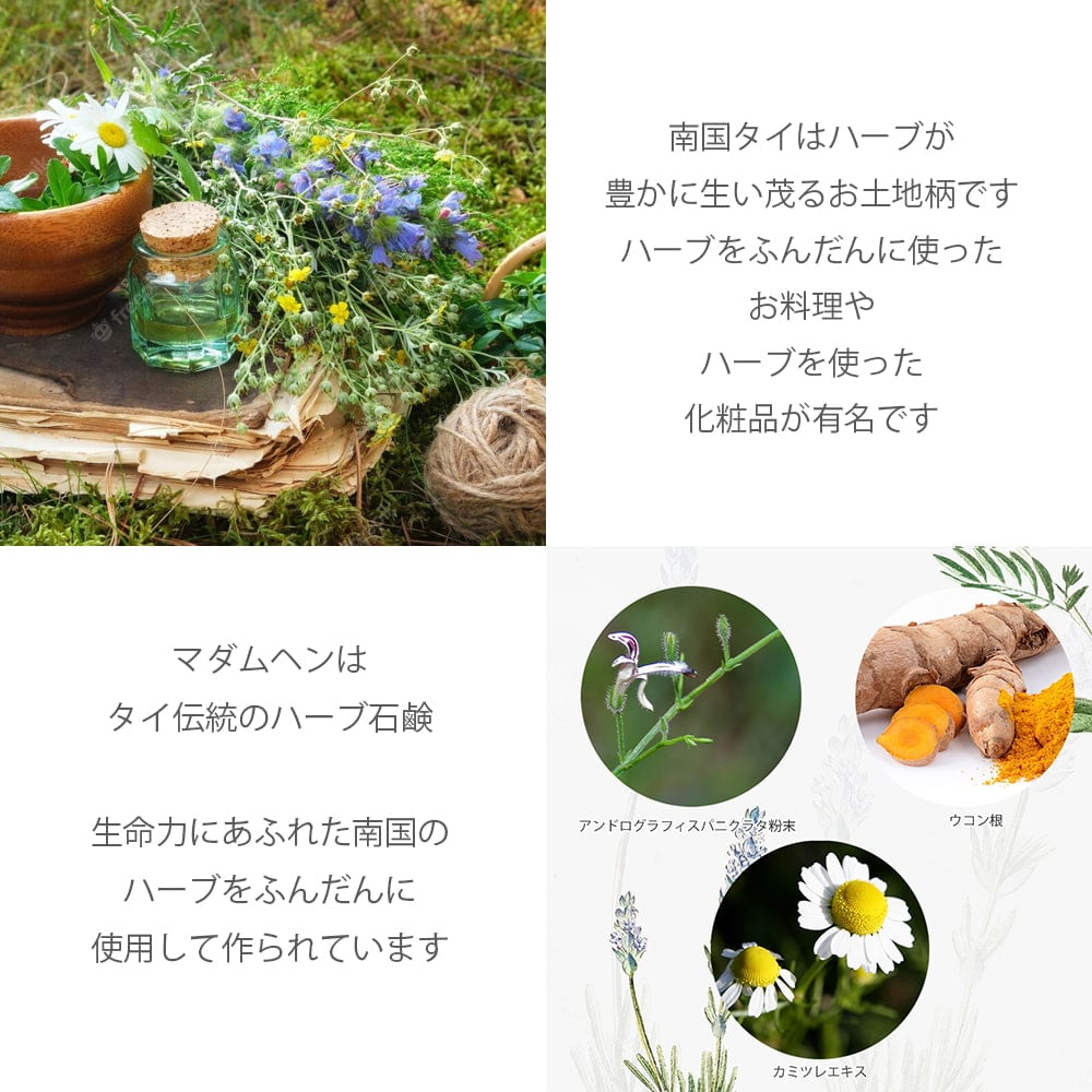 【送料無料・6個セット】ＤＲ．ＪＥＮＧ　バランス　ボタニカル　ソープ - DR. JENG BOTANICAL SOAP 150G2枚目の説明写真です