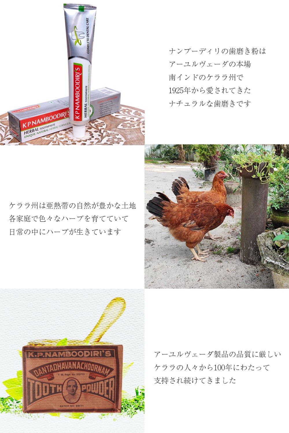 ナンブーディリ　ハーバル　トゥースペースト - K P Namboodiri