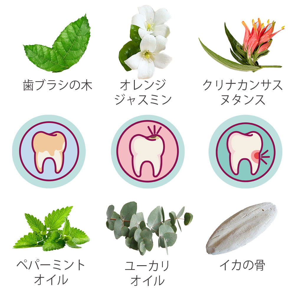 【お試し特価品】Dok Bua Ku ハーバル トゥースペースト オリジナル - HERBAL TOOTHPASTE ORIGINAL 25g3枚目の説明写真です