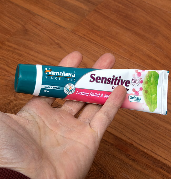 インドのアーユルヴェーダ歯磨き粉 - センシティブ　Sensitive Toothpaste 80g【Himalaya Herbals】 5 - 手に持ってみました。