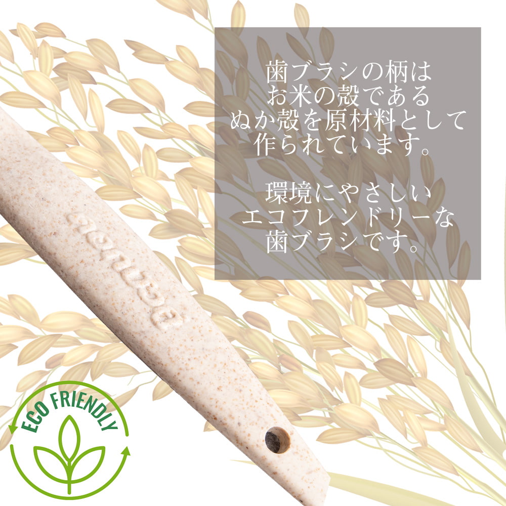 もみ殻素材のナチュラル歯ブラシ - 【Dok Bua Ku ツインロータス】6枚目の説明写真です
