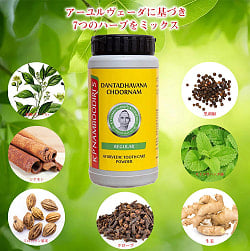 【40g】ナンブーディリ ダンダヴァナ チュルナム 歯磨き粉 - K P Namboodiri