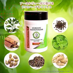 【40g】ナンブーディリ　ダンダヴァナ　チュルナム　ストロング歯磨き粉 - K P Namboodiri