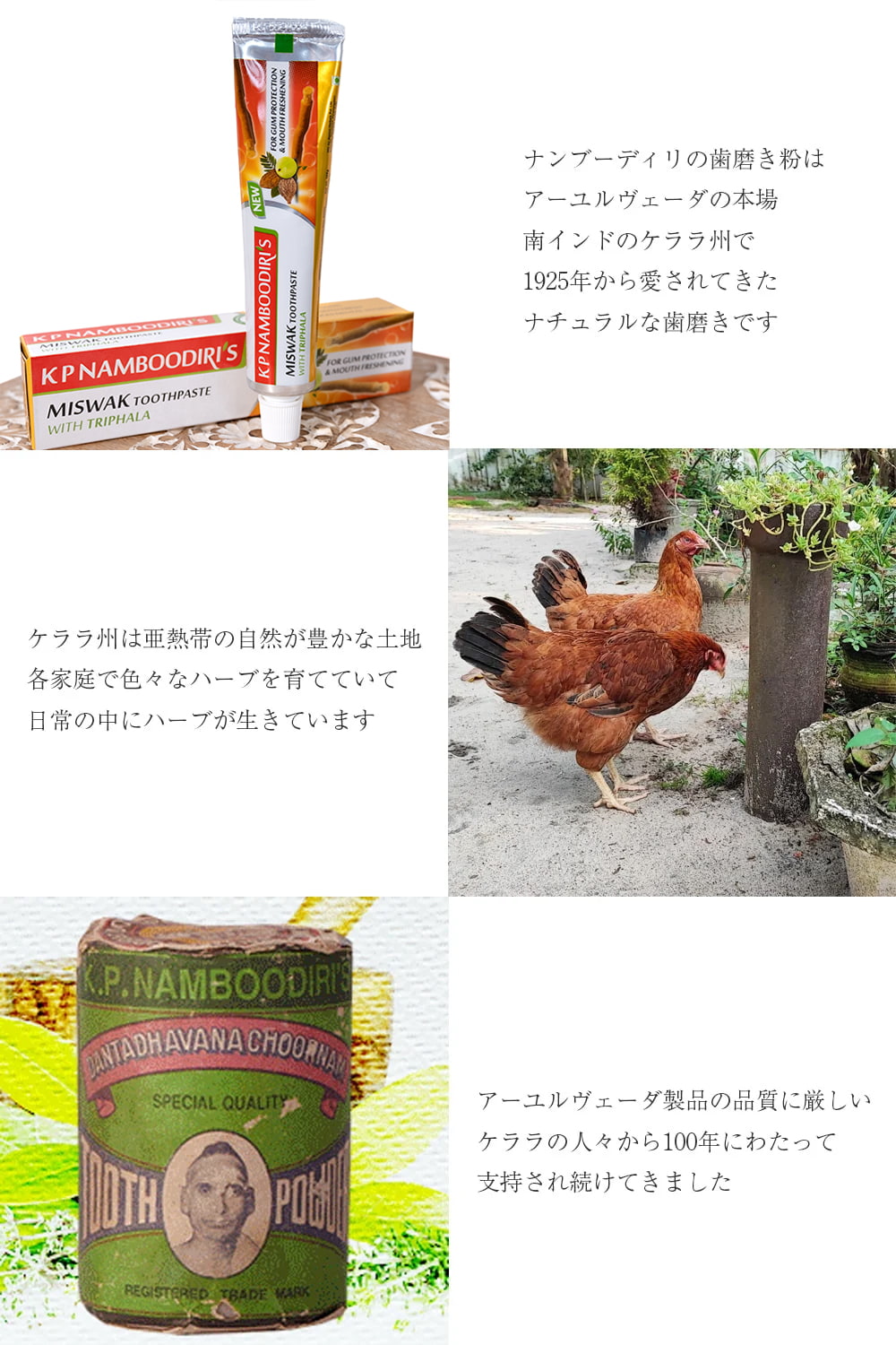 ナンブーディリ　トゥースペースト　イエロー  - K P Namboodiri
