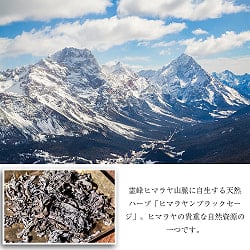 ヒマラヤン ブラック セージ 神聖なるヒマラヤ山脈に自生する天然のハーブ　スマッジング　浄化 - サブ3