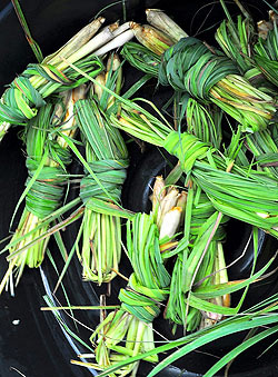 レモングラス[LEMONGLASS]の香り-オウロシカコーン香 - サブ3