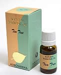茶の木(TEA TREE)の香り - オウロシカアロマオイルの商品写真