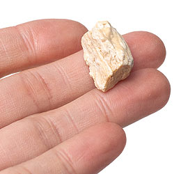 沙羅双樹(サル・ツリー) - レジン樹脂香 - サブ3