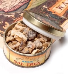 沙羅双樹(サル・ツリー) - レジン樹脂香