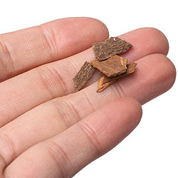 シナモン・オレンジ(Cinnamon-Orange) - スパイス香 - サブ3