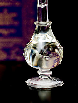 【5ml】金銀花(Honey Suckle） - ナチュラルフレグランスオイル  - サブ4