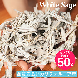 【150gセット(50g✕3個)】カリフォルニア ホワイトセージ 無農薬 葉っぱ&枝付きバルク 50gの写真