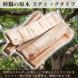 ヒンドゥー教の儀式で用いられる　樟脳の原木スティックタイプ　Camphor(Kapoor) 香木　お香【約50g程度】(IND-INS-876)