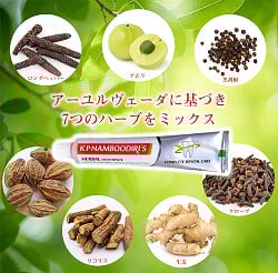【10個セット】ナンブーディリ　ハーバル　トゥースペースト - K P Namboodiri's Herbal Toothpaste【K P NAMBOODIRIS AYURVEDICS】 - サブ3