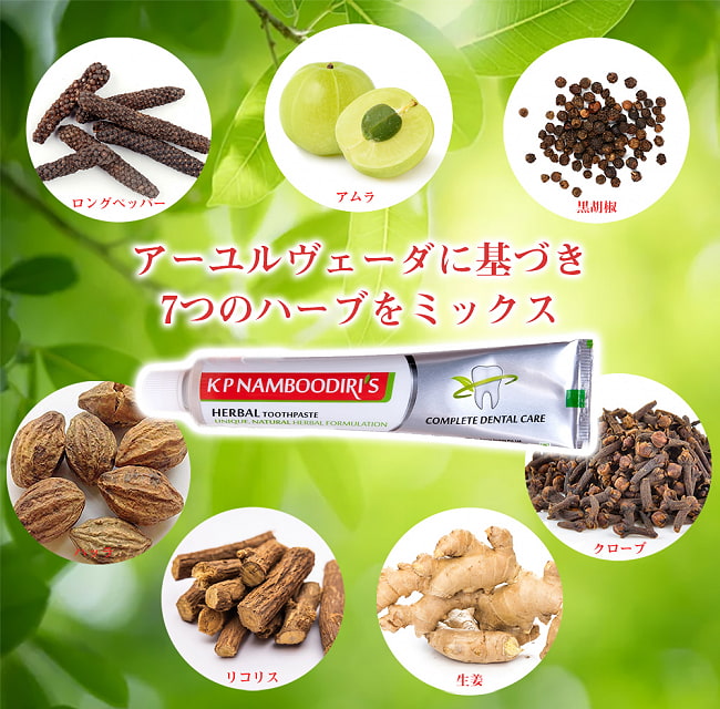 【10個セット】ナンブーディリ　ハーバル　トゥースペースト - K P Namboodiri's Herbal Toothpaste【K P NAMBOODIRIS AYURVEDICS】 3 - 色々なハーブがたっぷりはいっています