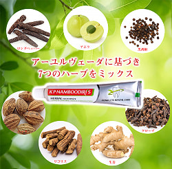 【3個セット】ナンブーディリ　ハーバル　トゥースペースト - K P Namboodiri - サブ3