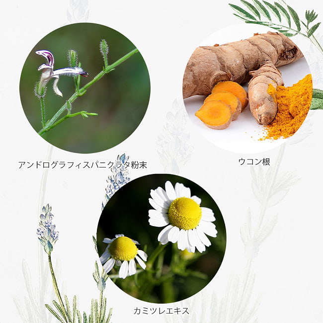 【送料無料・6個セット】DR.JENG バランス ボタニカル ソープ - DR. JENG BOTANICAL SOAP 150G 3 - タイの伝統ハーブを使用した高級石鹸です