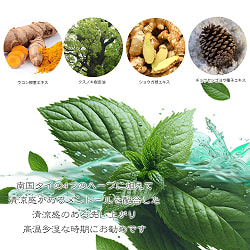 【送料無料・10個セット】マダム・ヘン　オリジナル　ソープ - MADAME HENG ORIGINAL SOAP 160G - サブ4