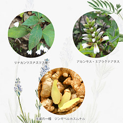 【3個セット】ＤＲ．ＪＥＮＧ　クリーン　ボタニカル　ソープ - DR. JENG CLEAN SOAP 150G - サブ3