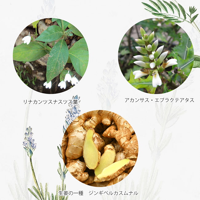 【3個セット】ＤＲ．ＪＥＮＧ　クリーン　ボタニカル　ソープ - DR. JENG CLEAN SOAP 150G 3 - タイの伝統ハーブを使用した高級石鹸です