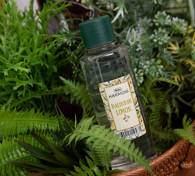 【6個セット・送料無料】レモン風味のアルコール - コロンヤ - DALINDAN LIMON - 200ml 3 - レモンのおしゃれなラベルデザインのパッケージです