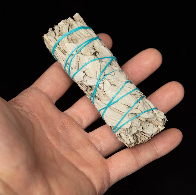 【5個セット】カリフォルニア ホワイトセージ 無農薬 ワンド バンドル スティック [10cm  25g程度]スマッジング　浄化 6 - サイズ比較のために手に持ってみました