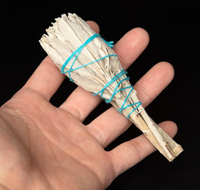 【送料無料・10個セット】カリフォルニア ホワイトセージ 無農薬 トーチ バンドル スティック [12cm  20g程度]スマッジング　浄化 6 - サイズ比較のために手に持ってみました