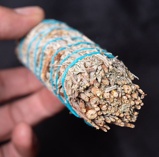 【10個セット】カリフォルニア ブルーセージ 無農薬 ワンド バンドル スティック [10cm  30g程度] 6 - サイズ比較のために手に持ってみました