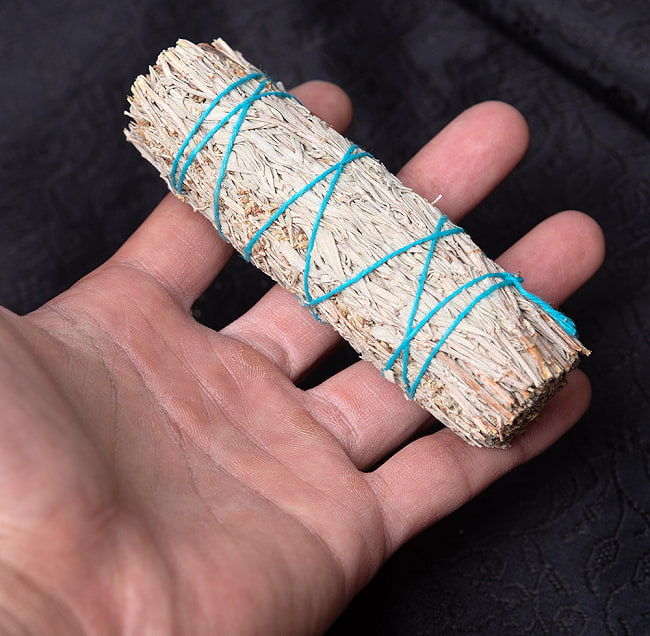 【10個セット】カリフォルニア ブルーセージ 無農薬 ワンド バンドル スティック [10cm  30g程度] 8 - サイズ比較のために手に持ってみました