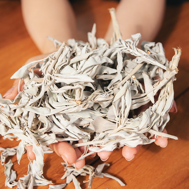 【メール便送料無料】カリフォルニア ホワイトセージ 無農薬 葉っぱ&枝付きバルク 50g スマッジング 浄化 3 - 枝付きでお届けします