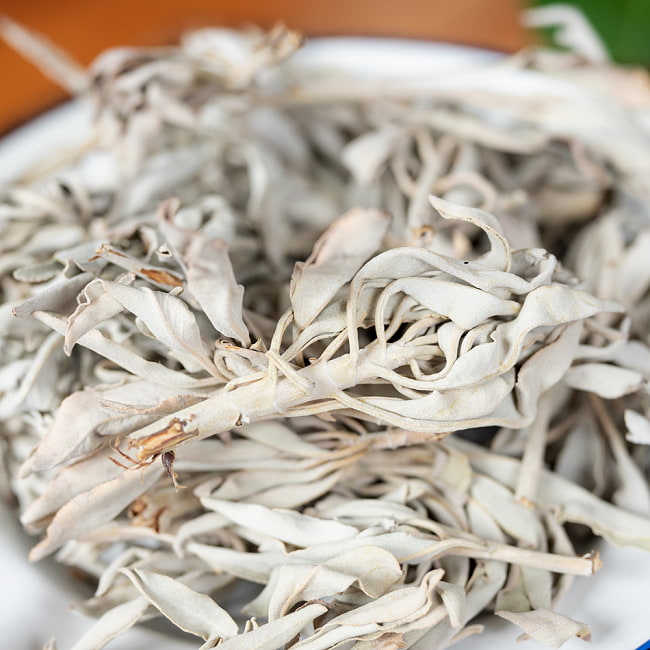 【メール便送料無料】カリフォルニア ホワイトセージ 無農薬 葉っぱ&枝付きバルク 50g スマッジング 浄化 5 - いろいろな形がありますね