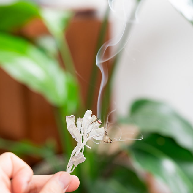 【メール便送料無料】カリフォルニア ホワイトセージ 無農薬 葉っぱ&枝付きバルク 50g スマッジング 浄化 7 - 炭の上に置いて焚くこともできますが、少し焚く際は葉にライターで着火するだけで、しばらくは煙が出てくれます。