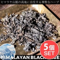 【5個セット】ヒマラヤン ブラック セージ 神聖なるヒマラヤ山脈に自生する天然のハーブ　スマッジング　浄化(SET-INSE-237)