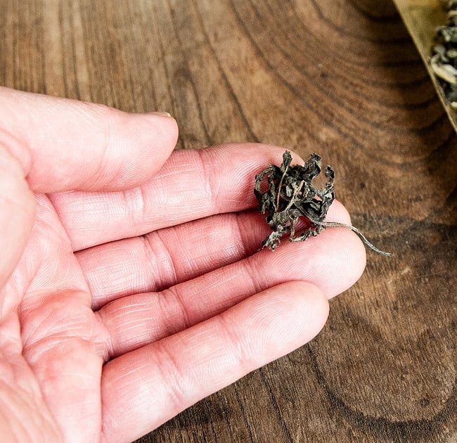 【10個セット】ヒマラヤン ブラック セージ 神聖なるヒマラヤ山脈に自生する天然のハーブ　スマッジング　浄化 5 - ひとかたまりづつはこれくらいになります。