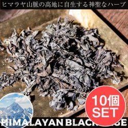 【10個セット】ヒマラヤン ブラック セージ 神聖なるヒマラヤ山脈に自生する天然のハーブ　スマッジング　浄化(SET-INSE-238)