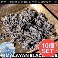 【10個セット】ヒマラヤン ブラック セージ 神聖なるヒマラヤ山脈に自生する天然のハーブ スマッジング 浄化の数割選択写真