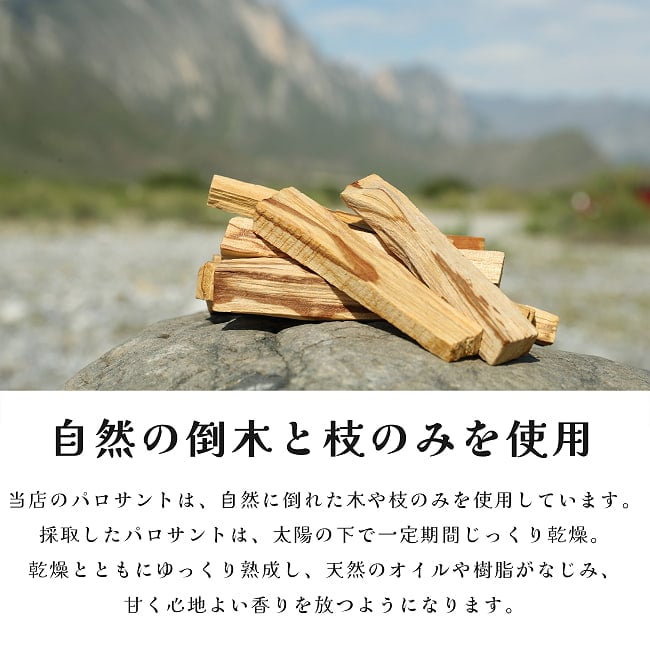 【約250g × 2個セット(合計約500g)】パロサント　天然の香木　品質の良いペルーのピウラ産　PALO SANTO　チャック付き袋　ヨガや瞑想　浄化などへ 9 - 自然の倒木と枝のみを使用