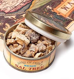 【6個セット】沙羅双樹(サル・ツリー) - レジン樹脂香 - サブ2