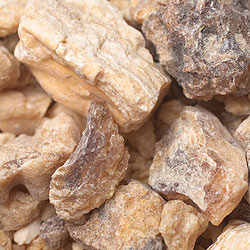 【6個セット】沙羅双樹(サル・ツリー) - レジン樹脂香 - サブ3