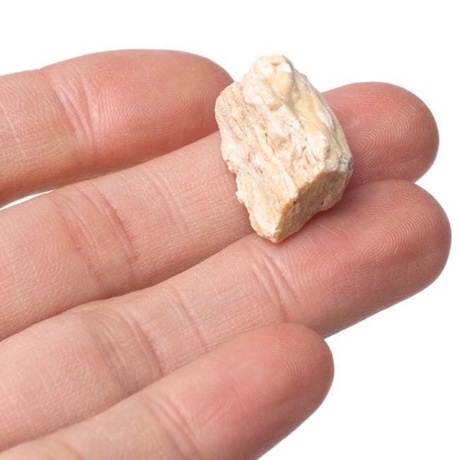 【6個セット】沙羅双樹(サル・ツリー) - レジン樹脂香 4 - お香を指の上に乗せてみました