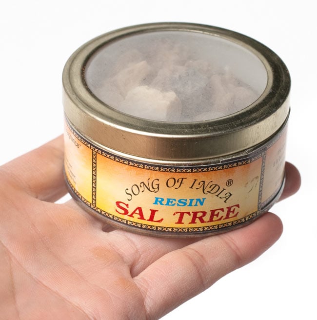 【6個セット】沙羅双樹(サル・ツリー) - レジン樹脂香 5 - サイズ比較のために手に持ってみました