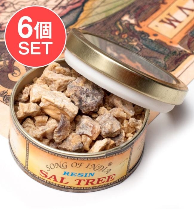 【6個セット】沙羅双樹(サル・ツリー) - レジン樹脂香の写真