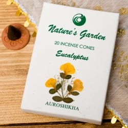 【6個セット】ユーカリ[EUCALYPTUS]の香り-オウロシカコーン香 - サブ2