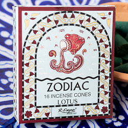 【6個セット】〔みずがめ座〕ロータスの香り　ゾディアック　黄道十二星座のコーン香 - サブ3