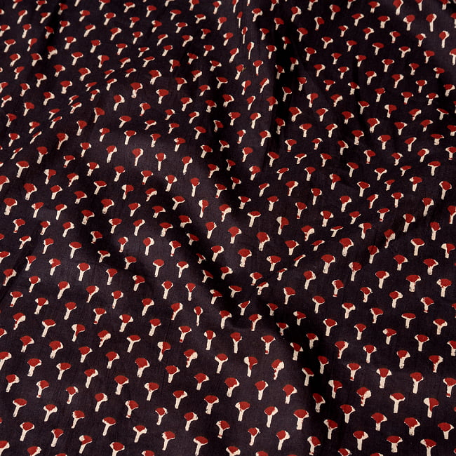 〔1m切り売り〕南インドの小花柄布〔幅約107cm〕 - ブラック系 4 - インドならではの布ですね。