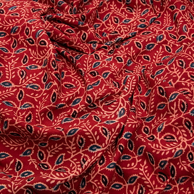〔約6m 長尺布 5色展開】伝統息づくインドから　昔ながらの木版染めボタニカル柄布 - 幅約107cm 2 - とても素敵な雰囲気です