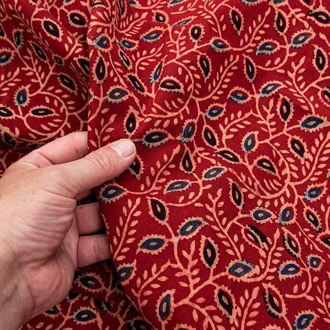 〔約6m 長尺布 5色展開】伝統息づくインドから　昔ながらの木版染めボタニカル柄布 - 幅約107cm 4 - 手にとってみました。柄の広がりはこれくらいになります。