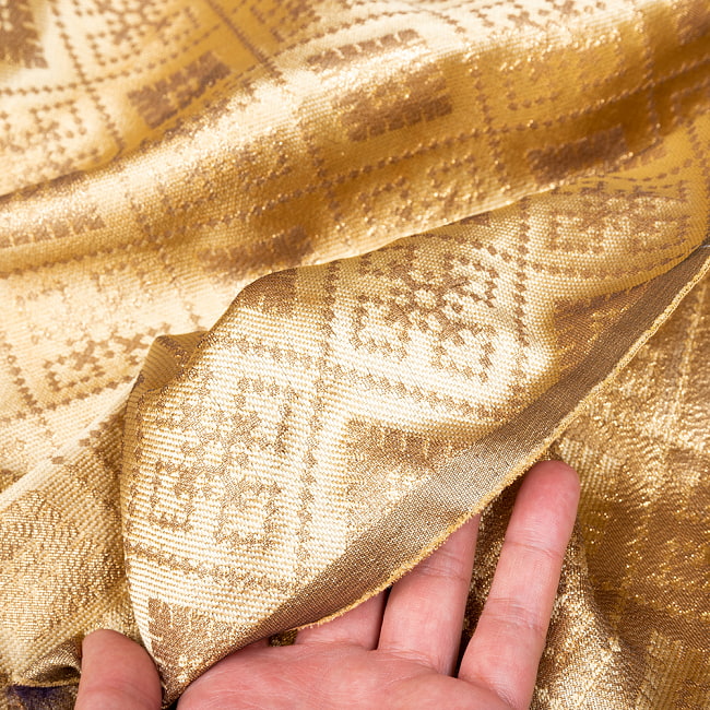 〔1m切り売り〕インドの伝統模様布　光沢感のあるブロケード生地　金糸〔約123cm〕シャンパン系 6 - 生地の拡大写真です