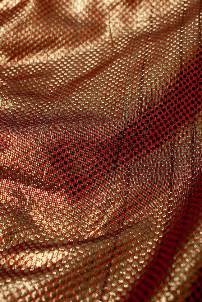 〔1m単位切り売り〕インドの伝統模様布 - ドット柄 樺色〔幅110cm〕の写真