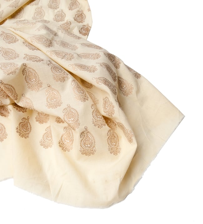 〔1m単位切り売り〕インドの伝統模様 セリグラフィープリント布〔109cm〕 5 - フチの写真です